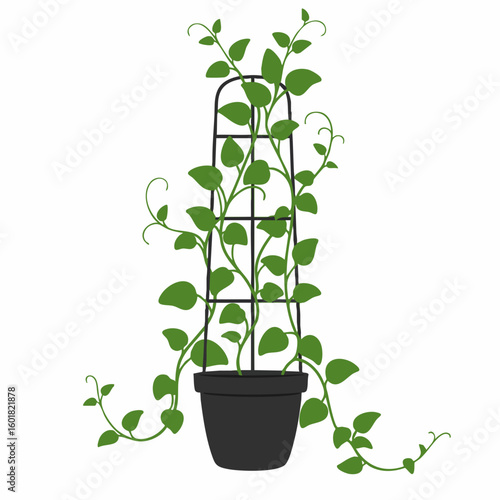 Climbing Plant in a Potted Metal Trellis