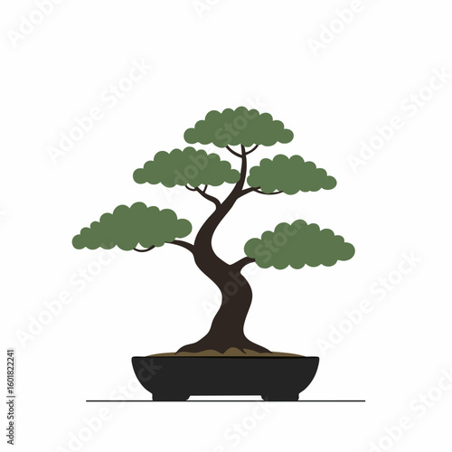 Simple and Elegant Bonsai Tree in a Pot
