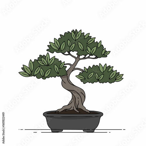 Graceful Bonsai Tree in Elegant Pot