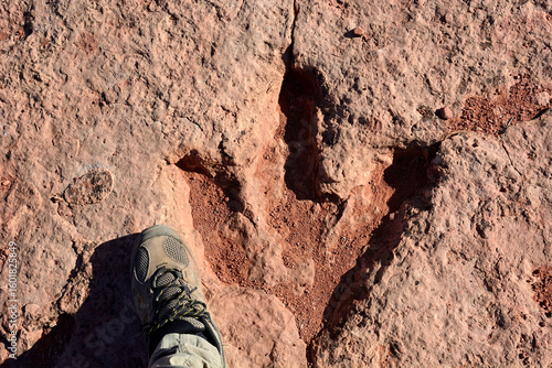 Flag Point Dinosaur Track Site, Utah USA
