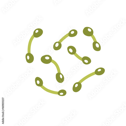 Corynebacterium diphtheriae bacteria