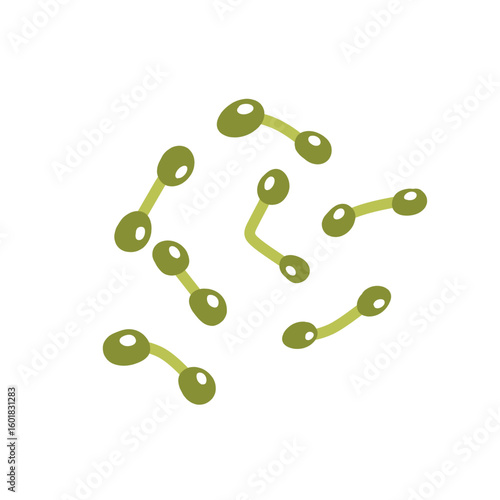 Corynebacterium diphtheriae bacteria