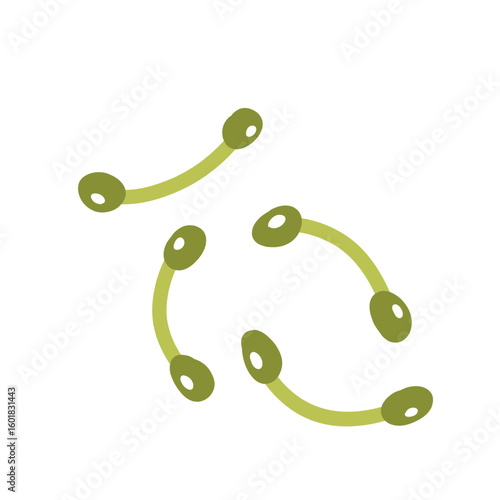 Corynebacterium diphtheriae bacteria