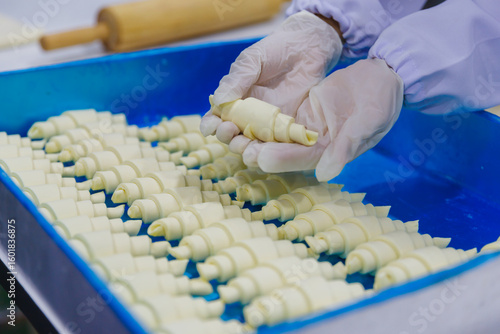 Food Production in a Factory as Worker Hand Inspects Fresh Croissants on Blue Tray in Bakery or Pastry Kitchen