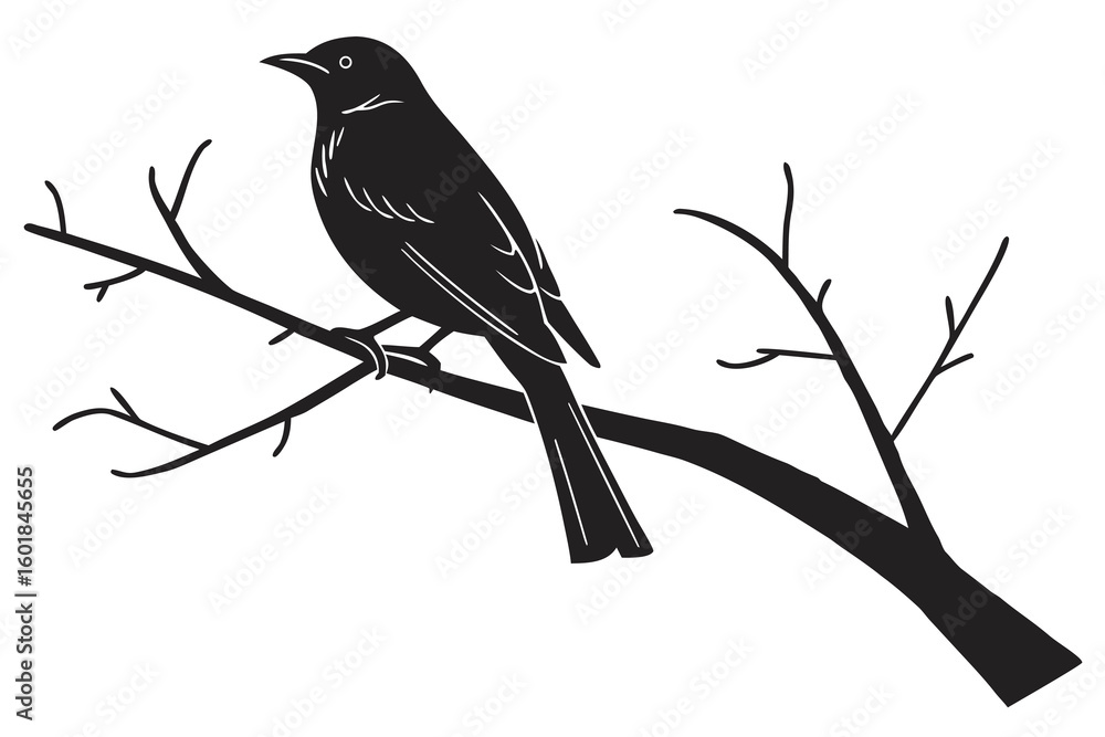 Fototapeta premium bird on a branch