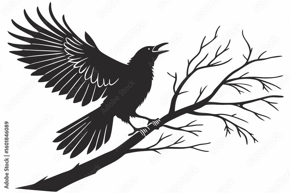 Obraz premium silhouette of a bird