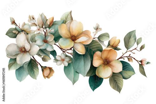 Watercolor magnolia branches with pale yellow and white flowers and green leaves floral