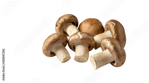 Fresh Brown Mushrooms Closeup Still Life