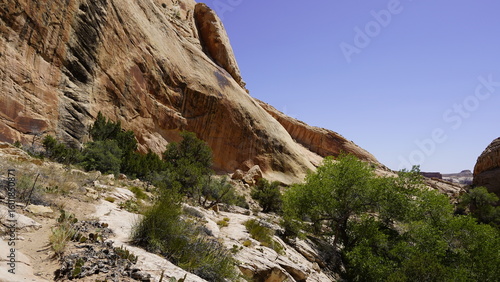 Foto Monarch Cave is located in Butler Wash on the east side of Comb Ridge near Bluff, Utah