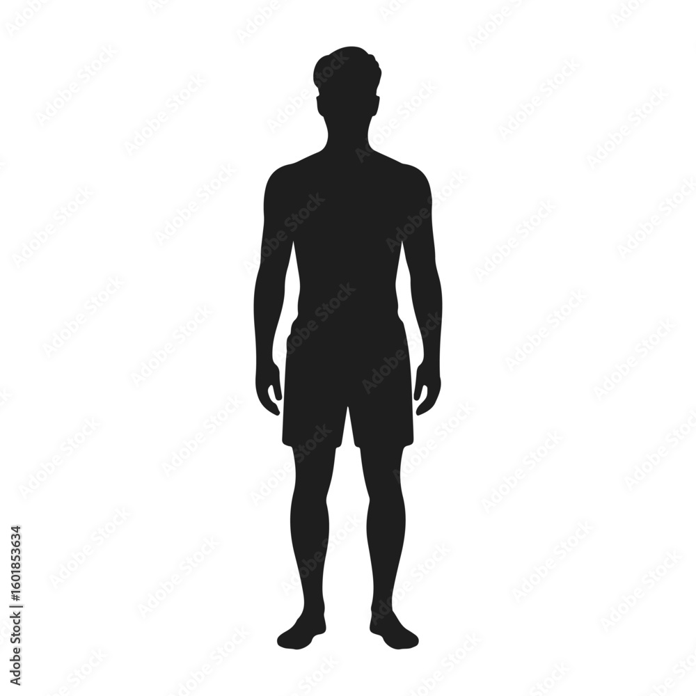 Fototapeta premium a black silhouette vector depicting a standing person