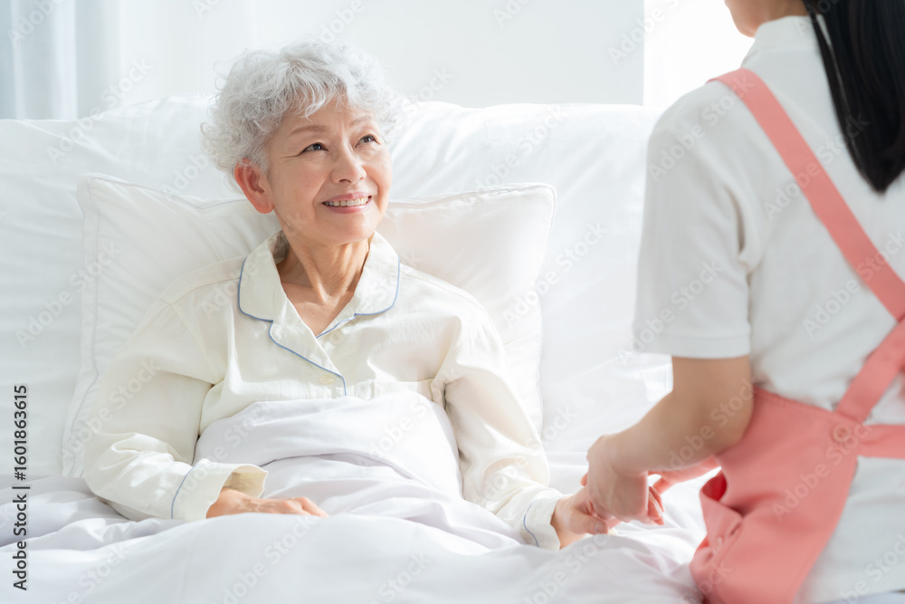 Fototapeta premium シニアの女性と介護福祉士