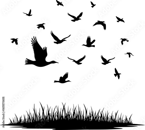 silhouettes of birds, bird, silhouette, vector, animal, flying, illustration, nature, birds, black, fly, wing, sea, icon, wings, fish, dove, wild, wildlife, pigeon, drawing, seagull, sky, animals, fre