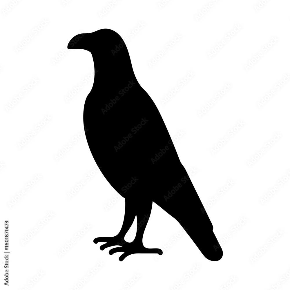 Fototapeta premium A striking silhouette of a raven standing against a stark white background
