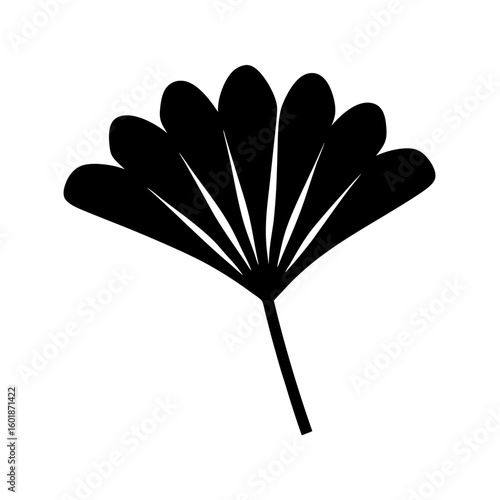 Striking black silhouette of a fanshaped plant with elegant leaf divisions