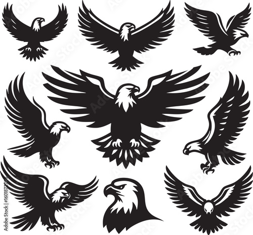 Soaring Spirit: A collection of powerful eagle illustrations, perfect for representing freedom and strength. 