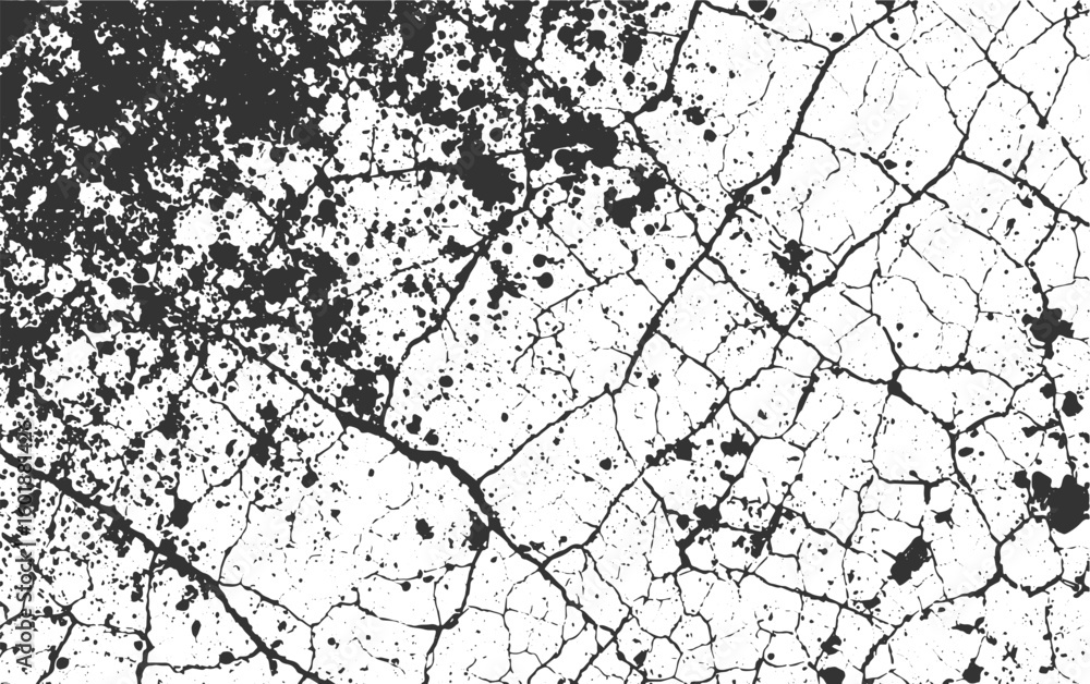Obraz premium Black ink splatters and cracks on white background abstract