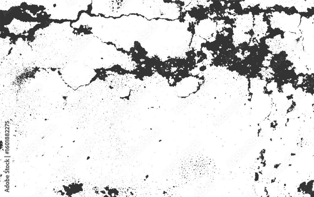 Fototapeta premium texture of old wall, a black and white vintage of cracked concrete scribble effect, Texture soil dry crack background pattern. Black grunge effect on white background. 