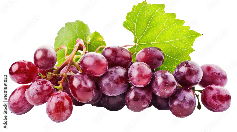 Fototapeta premium Red grapes on branch isolate on transparency background