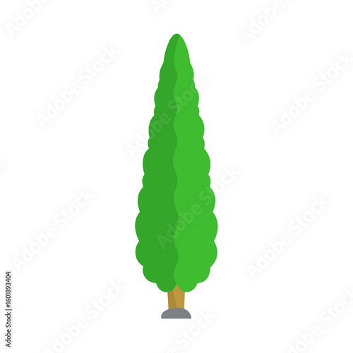 Cypress tree illustration in flat design style