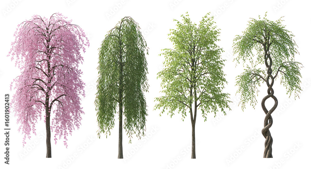 Fototapeta premium Collection of four distinct trees on transparent background, blooming cherry blossom, weeping willow, broadleaf tree, artistic twisted trunk