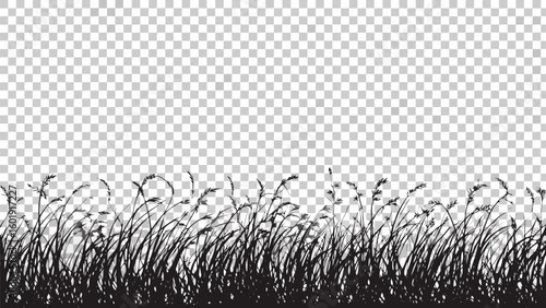 Vector  silhouette of tall grass and weeds against a transparent background creating a natural and wild scene