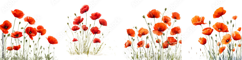 Naklejka premium Watercolor Red Poppy Flower Set. Floral Illustration on White Background.