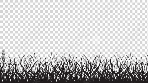 Vector  silhouette of grass blades against a transparent background creates a natural and simple design element