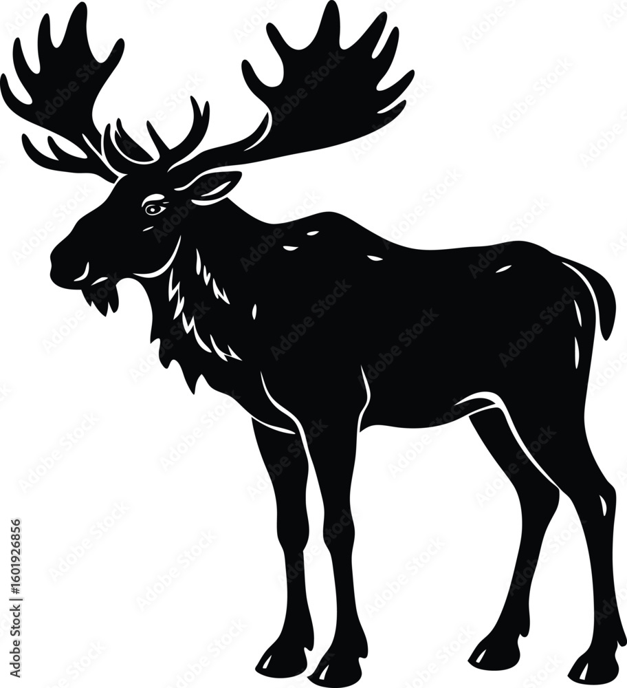 Fototapeta premium Standing Moose Silhouette Large Antlers.