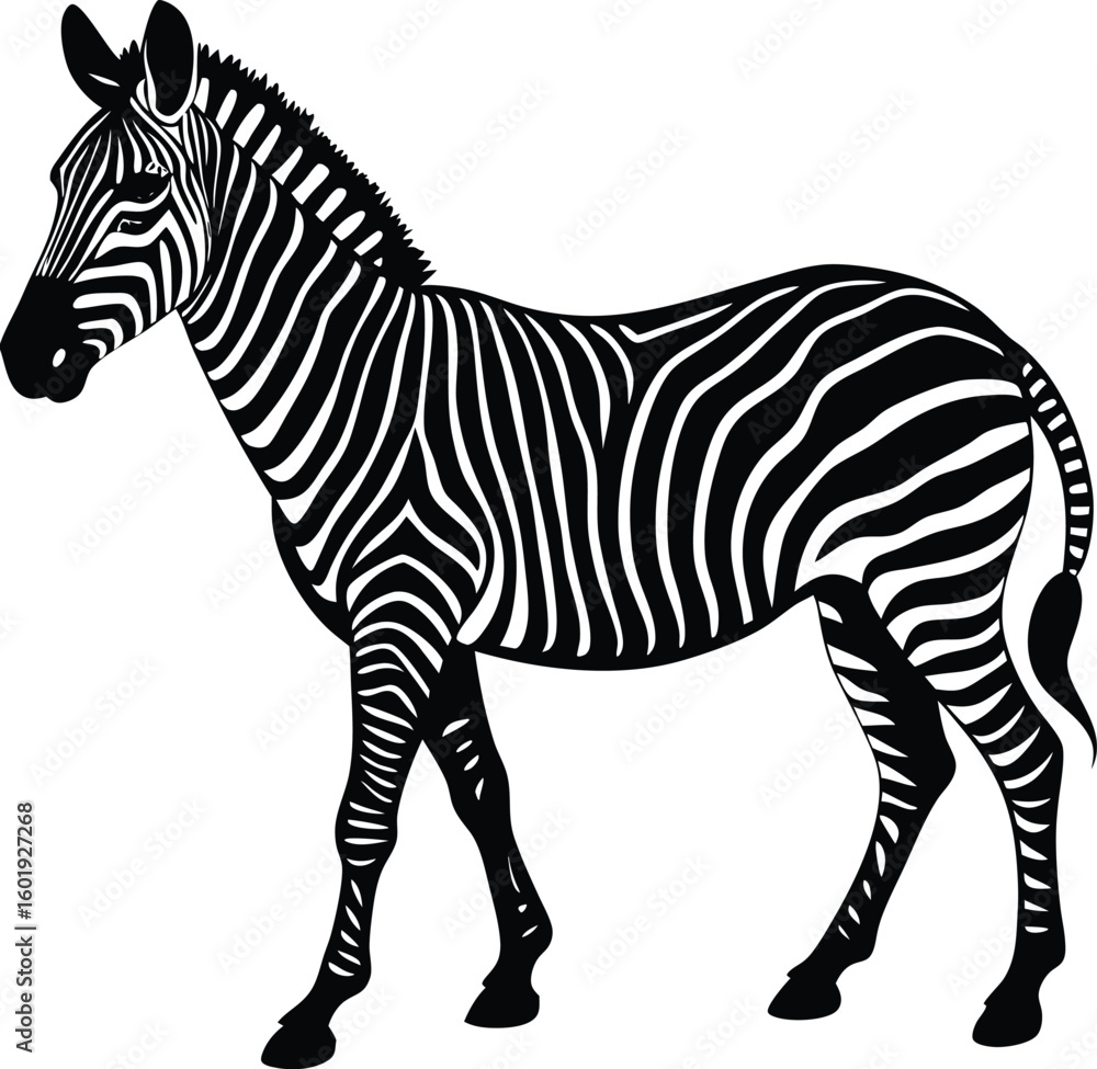 Fototapeta premium Walking Zebra Silhouette with Stripes.