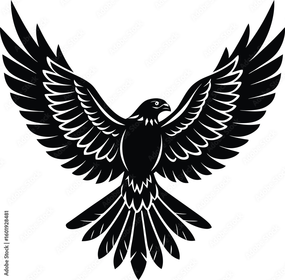 Obraz premium Wild Hawk Flying Bird Silhouette.