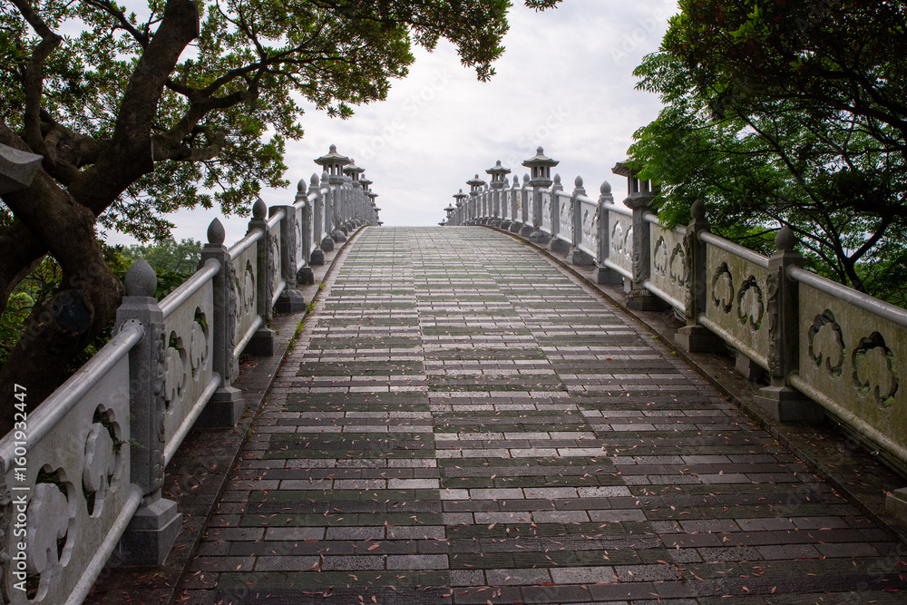 Obraz premium Bridge into the clouds