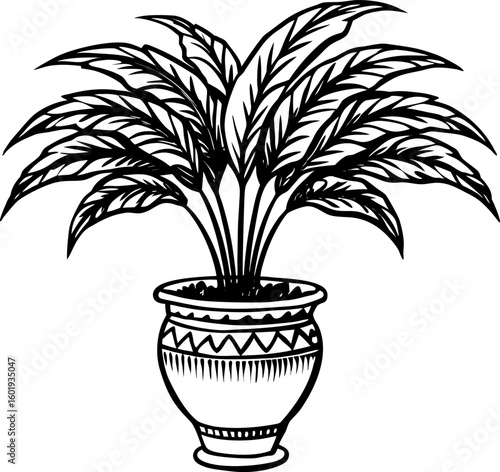 palm tree in a black pot