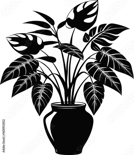 flower in a pot