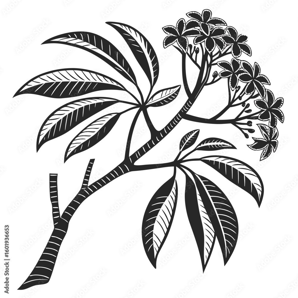 Obraz premium pressed flowers tree vector illustration