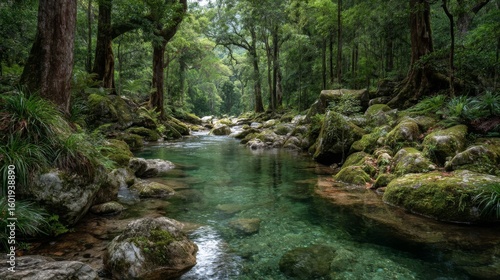Tranquil Green Forest River Landscape