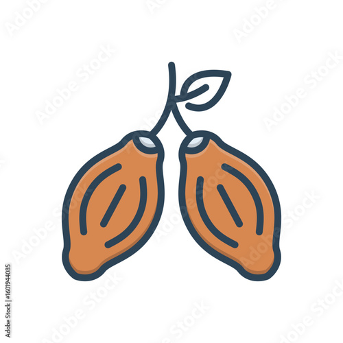 Color illustration icon for cacao beans