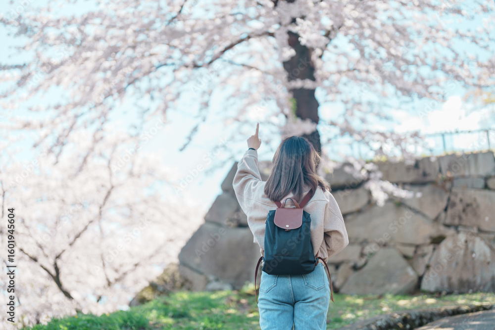 Obraz premium Woman tourist sightseeing Sakura Cherry blossom at Morioka Castle Ruins park in Spring, happy traveler travel in Iwate Park, Iwate prefecture, Japan. famous Landmark Travel and Vacation destination