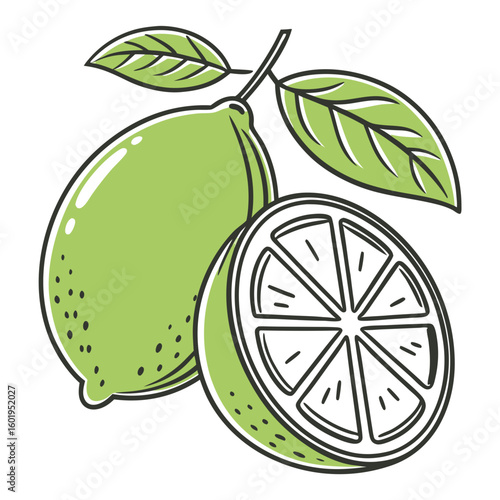 Stylized Lime with CrossSection and Leaves