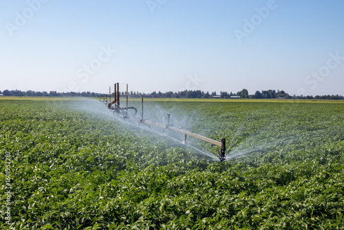 Irrigation system watering agricultural potato field, Tyrnävä Finland