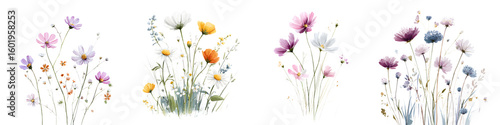 Wallpaper Mural Watercolor Wildflowers: Delicate Floral Bouquet Collection Torontodigital.ca