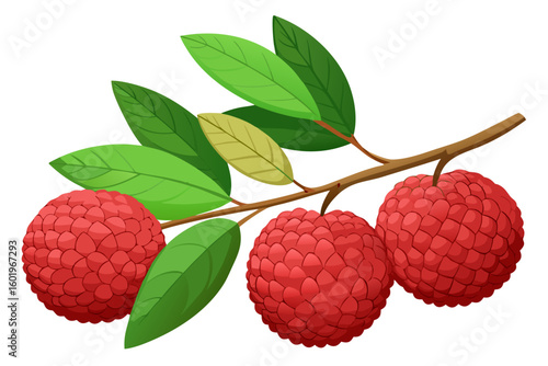 Two pears on a branch with leaves illustration for food blog or healthy eating website design ideas