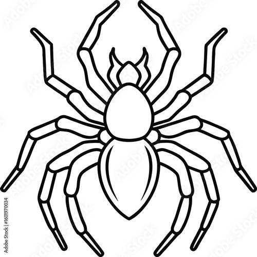 Detailed outline drawing of a spreading spider