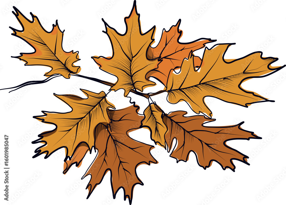 Obraz premium Hand drawn vector illustration of dry oak leaves bouquet