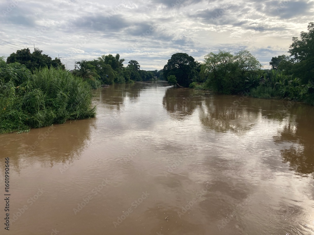 Obraz premium This image presents a peaceful and natural landscape, with a river at its center. The murky water and dark sky suggest recent rains, while the lush greenery suggests a rich natural environment.
