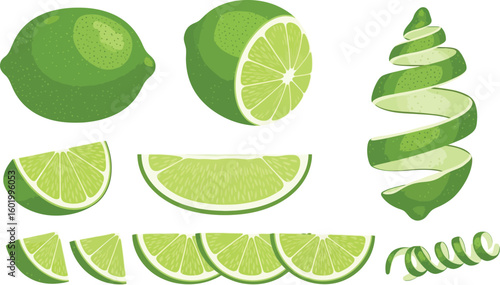 Illustration of whole, halved, sliced, and peeled lime on a white background in vector style