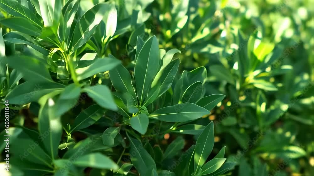 Lush Green Leaves, Vibrant Nature Close-up Lush Green Leaves, Vibrant Nature Close-up