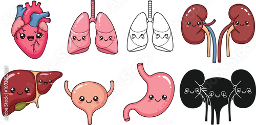 Cute human organ clip art vector illustration set for medical education and healthcare designs