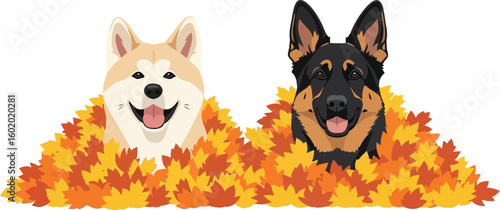 An akita and a german shepherd dog are sitting in a pile of autumn leaves with happy expressions
