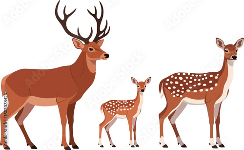 Illustration of a deer family with a buck, doe, and fawn standing on a white background artwork