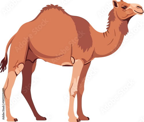 A cartoon illustration of a light brown camel standing on a white background in a side profile view